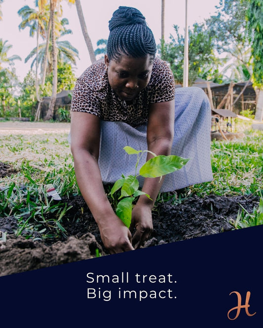 How Chocolate Can Help Grow Forests (Yes, Really!)