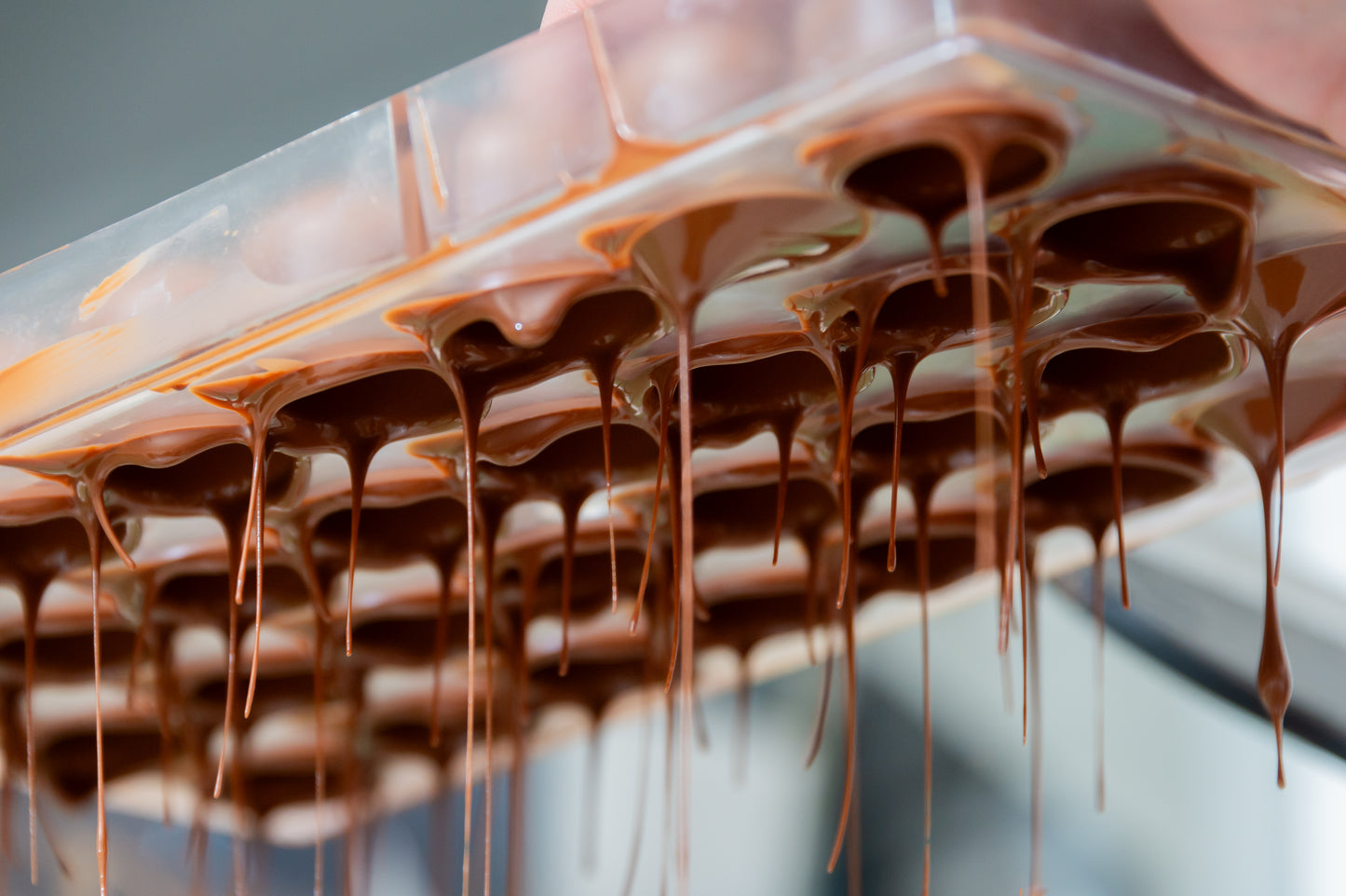 Milk Chocolate Guided Tasting Experience